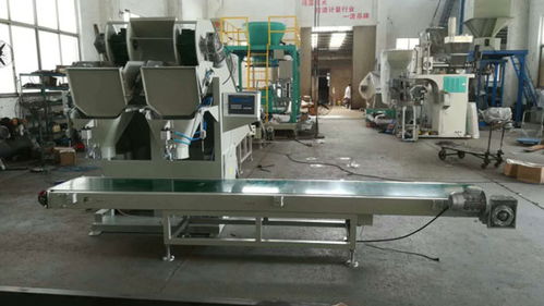 漯河土豆包裝機 瑞利技術(shù)開發(fā)的創(chuàng)新與報價解析