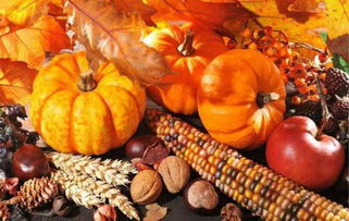 豐收節里尋“金”記 初級農產品的產業化新機遇